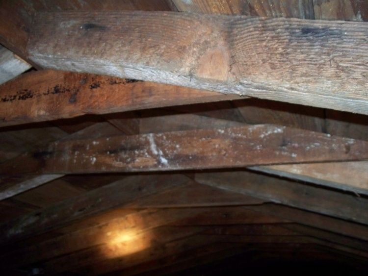 local roofing local contractor